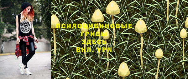 дурь Армянск