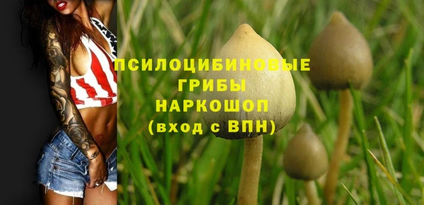 дурь Армянск
