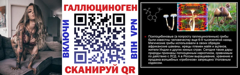 где найти наркотики  Палласовка  Галлюциногенные грибы Psilocybine cubensis 